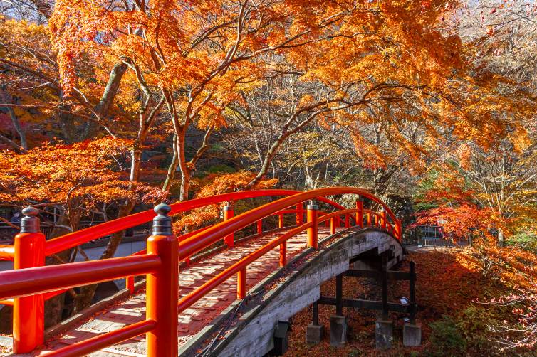 河鹿橋