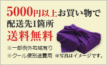 5000円以上のお買い物で配送先1箇所送料無料